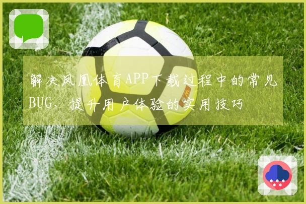 解决凤凰体育APP下载过程中的常见BUG，提升用户体验的实用技巧