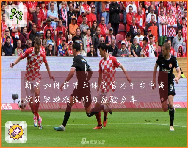 新手如何在开云体育官方平台中高效获取游戏技巧与经验分享