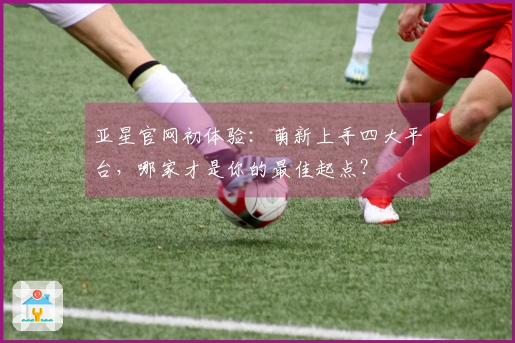 亚星官网初体验：萌新上手四大平台，哪家才是你的最佳起点？