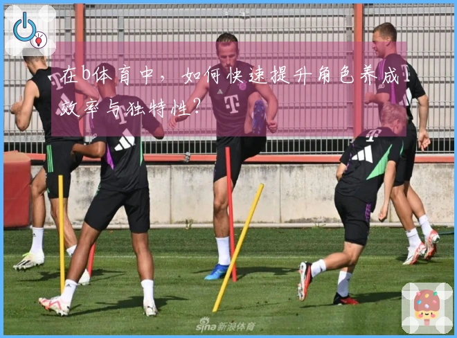 在b体育中，如何快速提升角色养成效率与独特性？