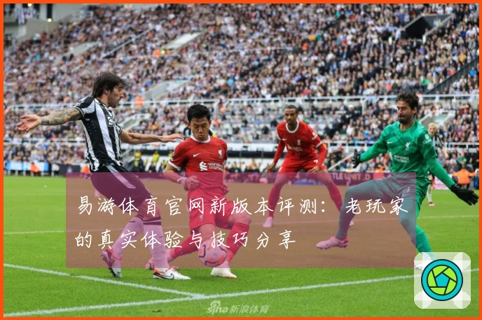 易游体育官网新版本评测：老玩家的真实体验与技巧分享